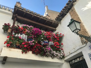 flowers-balcony-spain