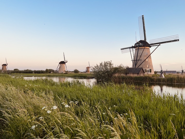 Europe: Flowers and Photography - Students | College of Agricultural ...